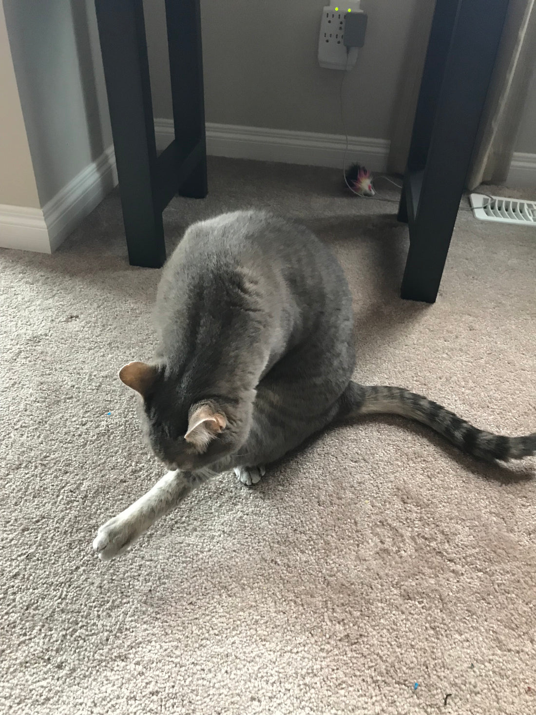 Atelier Nekozuki Episode 58!