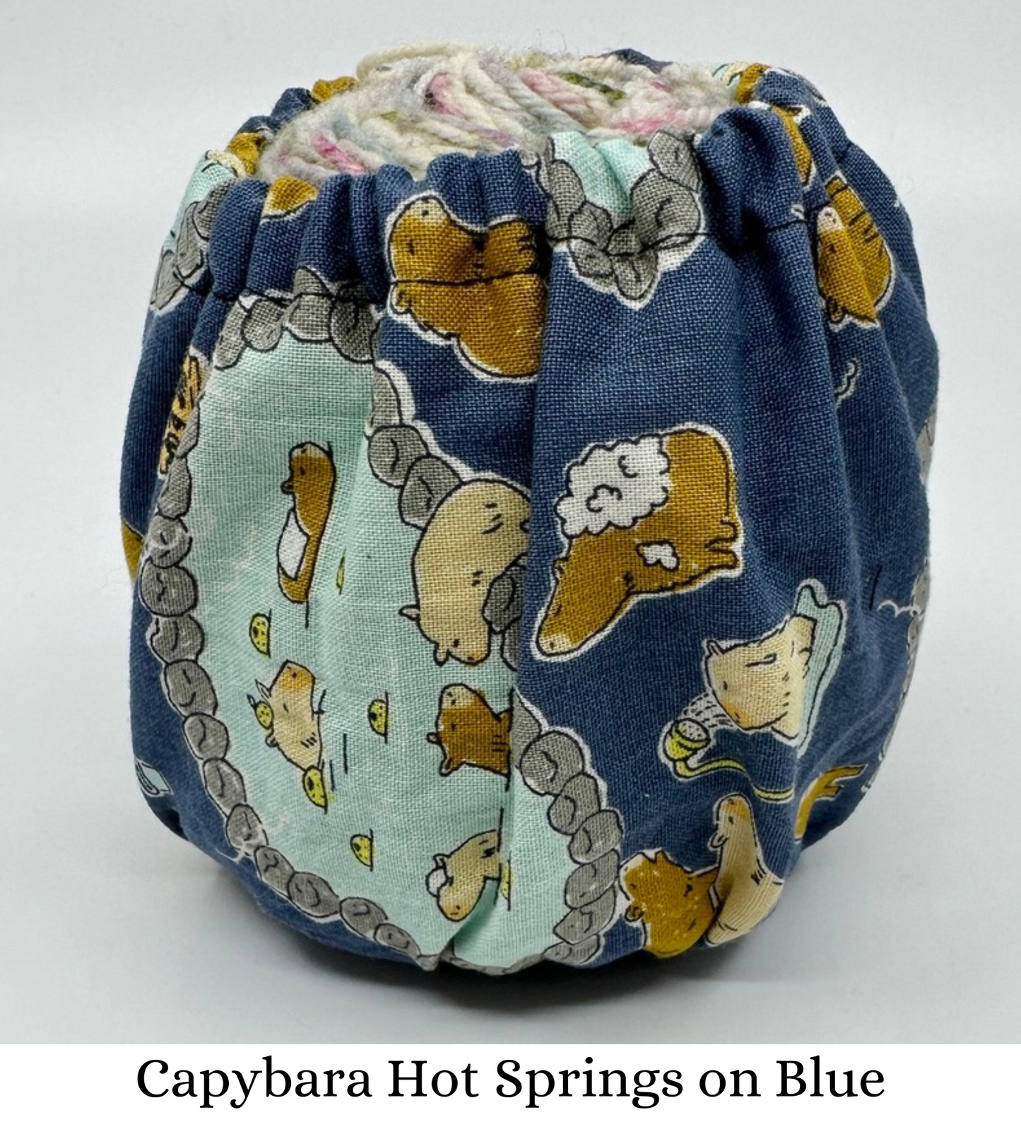 Cake Cozy