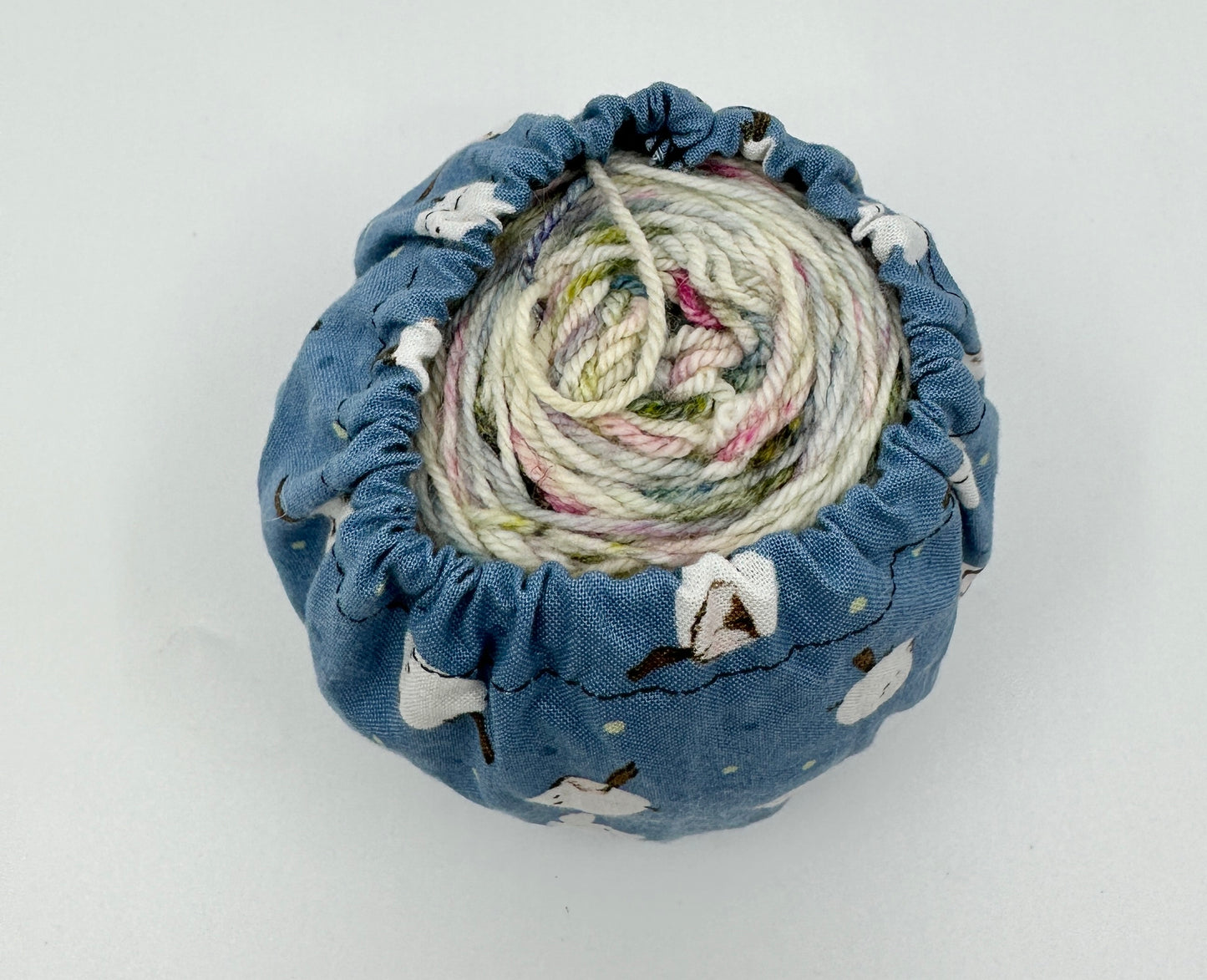 Cake Cozy