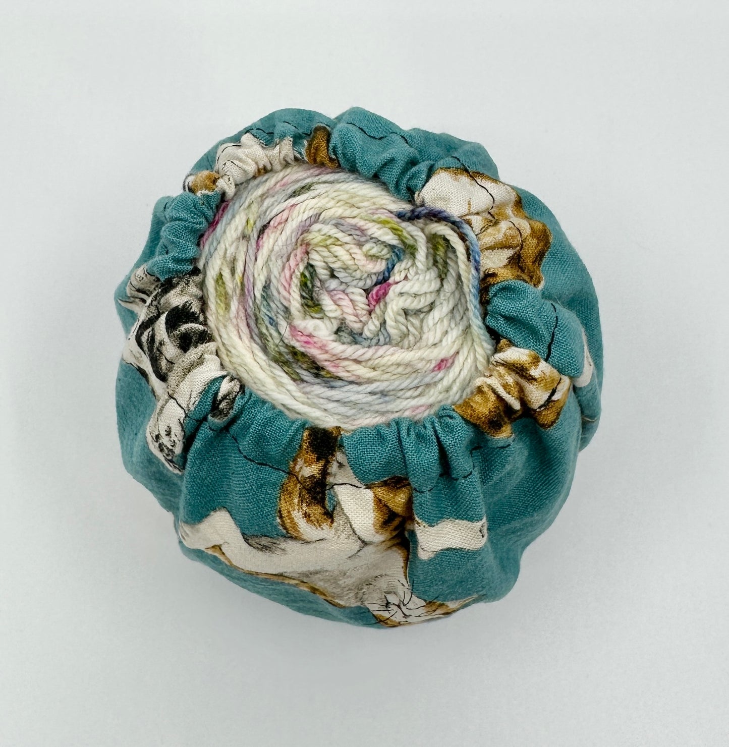 Cake Cozy