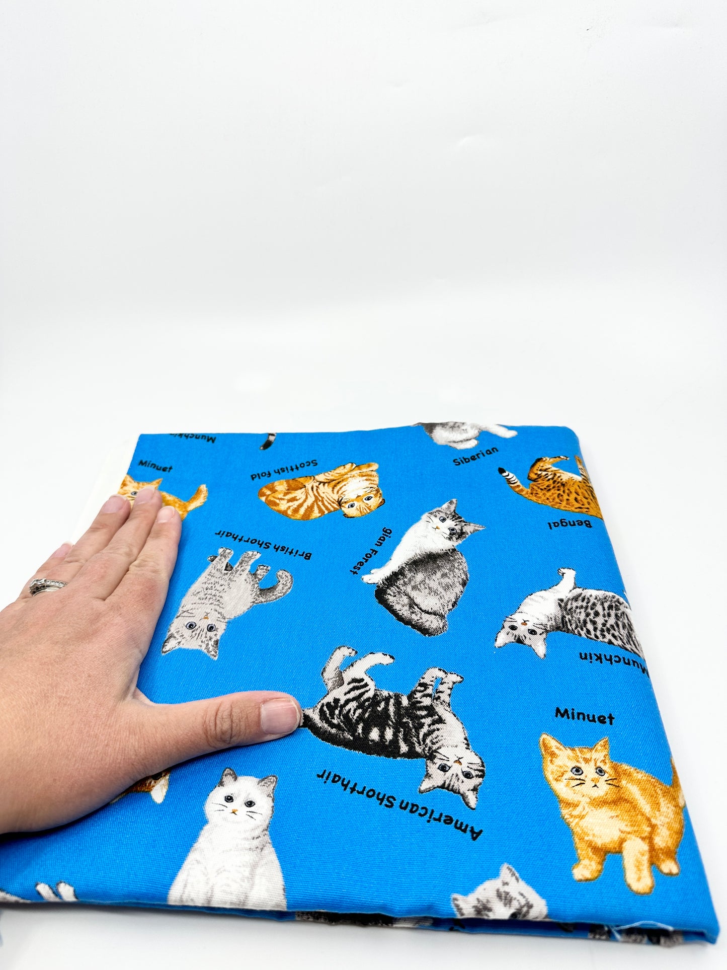 Pick Your Own Fabric | Kato Drawstring Bag | Cats | Premium Japanese Fabrics Handpicked in Japan, Sewn in Alberta, Canada