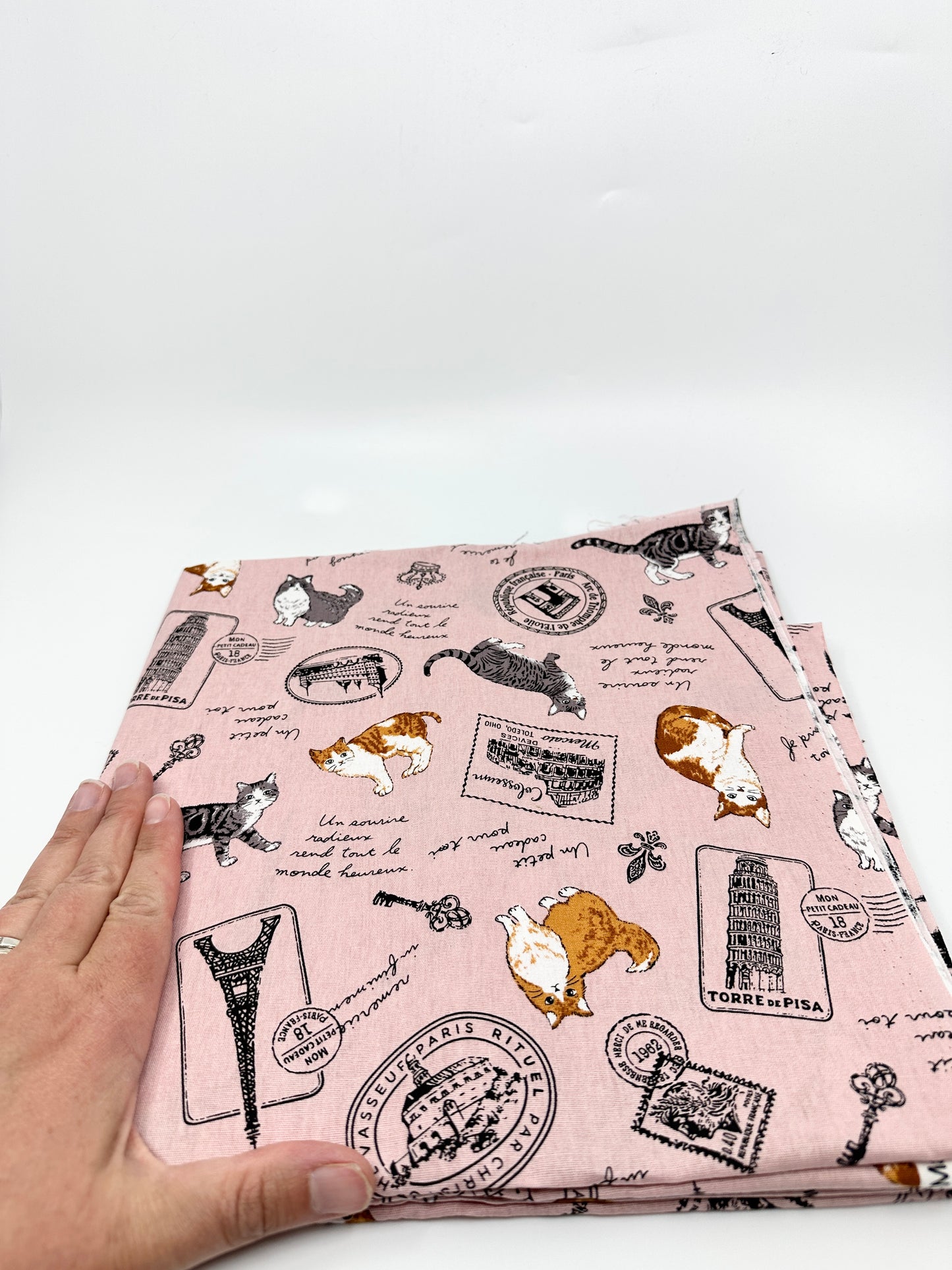 Pick Your Own Fabric | Kato Drawstring Bag | Cats | Premium Japanese Fabrics Handpicked in Japan, Sewn in Alberta, Canada