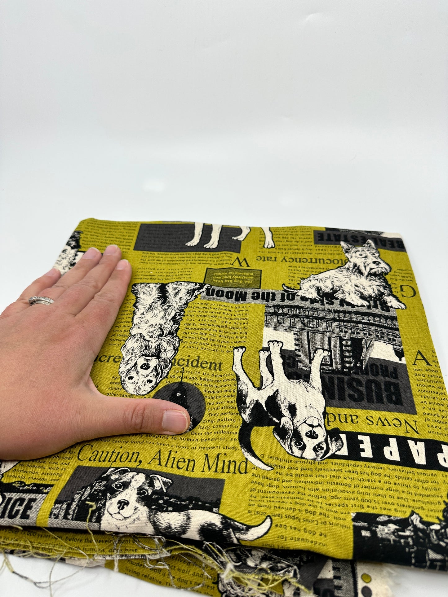 Pick Your Own | Kato Drawstring Bag | Dogs | Japanese Fabric Hand Picked in Japan and Then Handcrafted into Bags in Canada