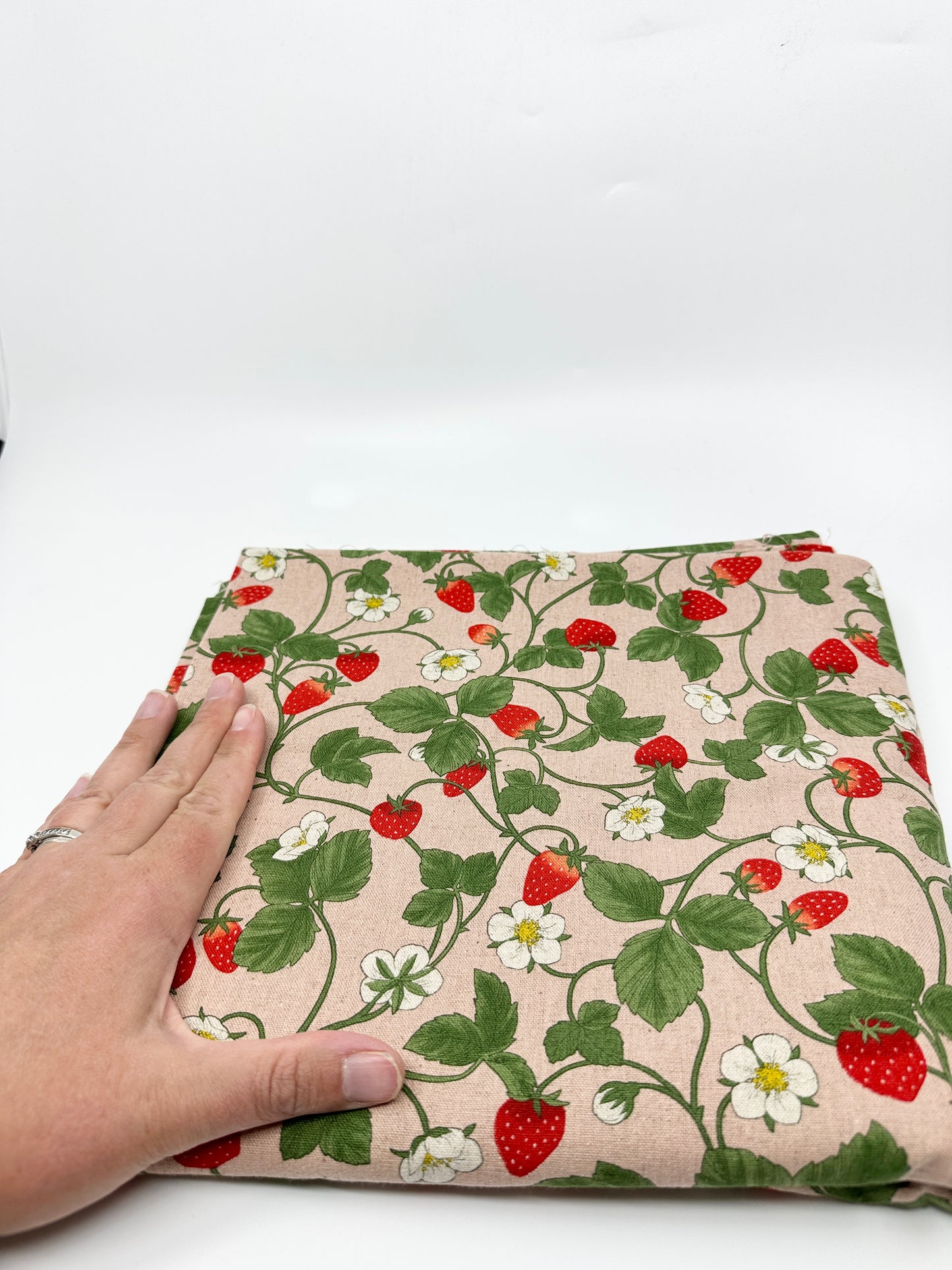 Pick Your Own | Kato Drawstring Bag | Food | Premium Japanese Fabrics Handmade into Bags in Alberta, Canada